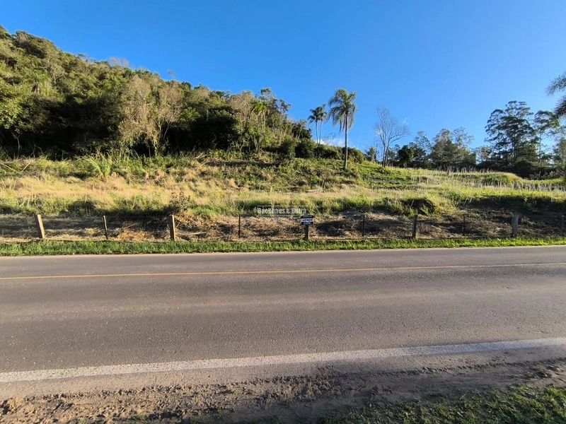 ROLANTE- CHÁCARA DE 3 HECTARES - ROLANTINHO: 5ª foto da galeria de imagens do imóvel
