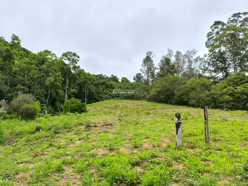ROLANTE- CHÁCARA DE 3 HECTARES - ROLANTINHO: 1ª foto da galeria de imagens do imóvel