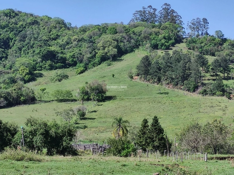 ROLANTE- FAZENDA DE 82 HECTARES COM INFRAESTRUTURA - AÇOITA CAVALO: 14ª foto da galeria de imagens do imóvel