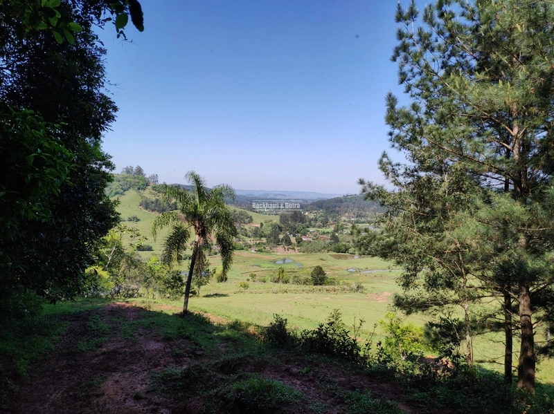 ROLANTE- FAZENDA DE 82 HECTARES COM INFRAESTRUTURA - AÇOITA CAVALO: 7ª foto da galeria de imagens do imóvel