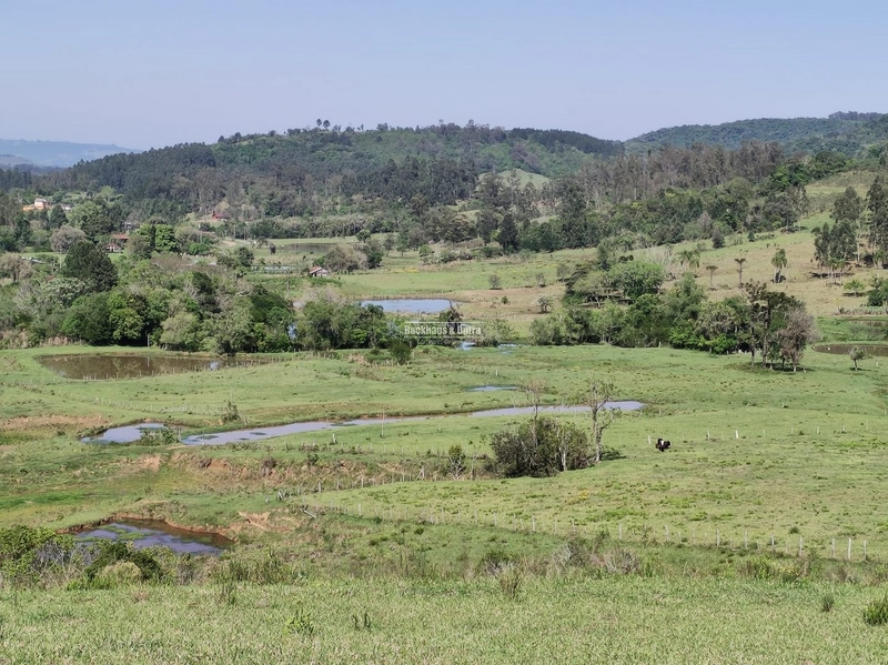 ROLANTE- FAZENDA DE 82 HECTARES COM INFRAESTRUTURA - AÇOITA CAVALO: 13ª foto da galeria de imagens do imóvel