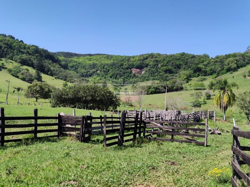 ROLANTE- FAZENDA DE 82 HECTARES COM INFRAESTRUTURA - AÇOITA CAVALO: 10ª foto da galeria de imagens do imóvel