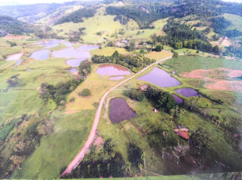 ROLANTE- FAZENDA DE 82 HECTARES COM INFRAESTRUTURA - AÇOITA CAVALO: 2ª foto da galeria de imagens do imóvel