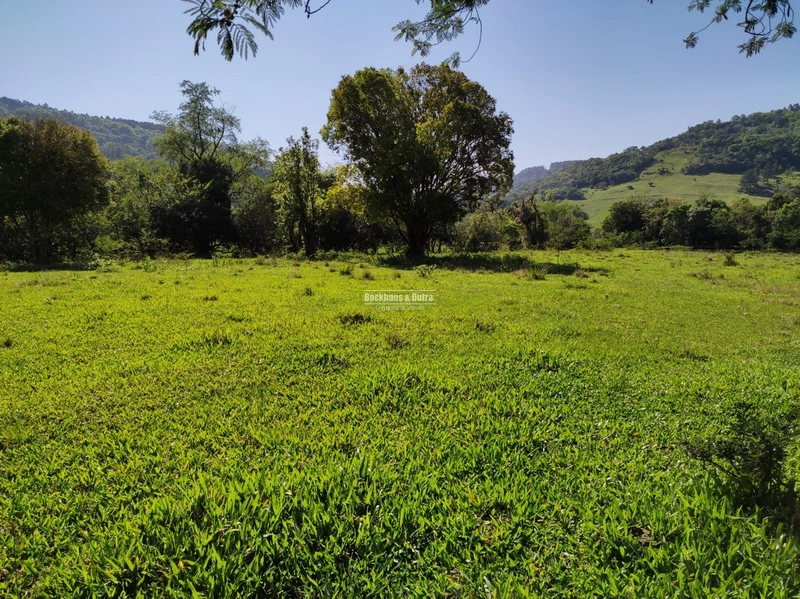 ROLANTE- FAZENDA DE 82 HECTARES COM INFRAESTRUTURA - AÇOITA CAVALO: 5ª foto da galeria de imagens do imóvel