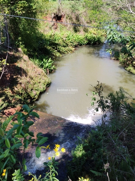 ROLANTE- FAZENDA DE 82 HECTARES COM INFRAESTRUTURA - AÇOITA CAVALO: 11ª foto da galeria de imagens do imóvel