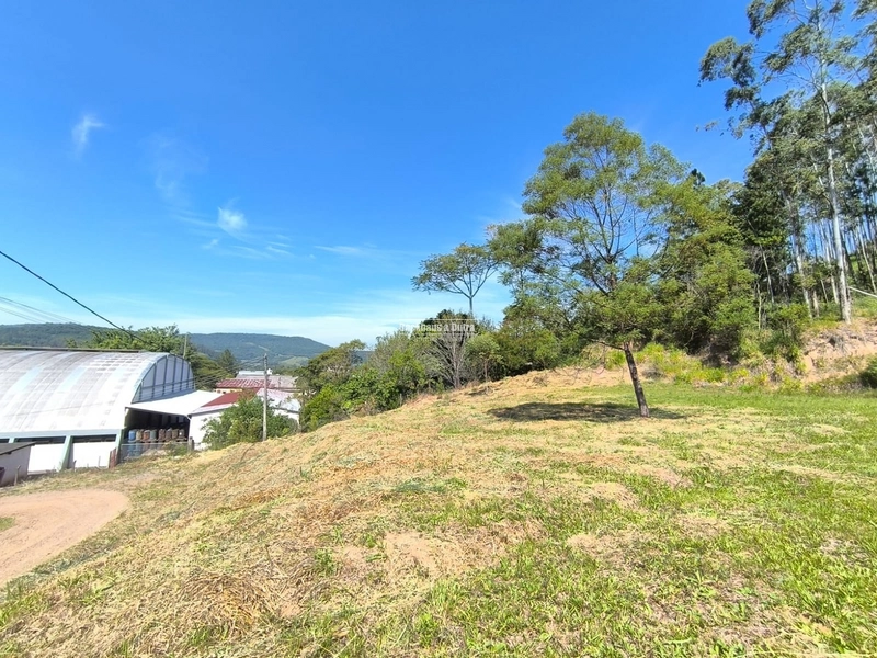 ROLANTE - TERRENOS 300 M2 - BAIRRO RIO BRANCO: 8ª foto da galeria de imagens do imóvel
