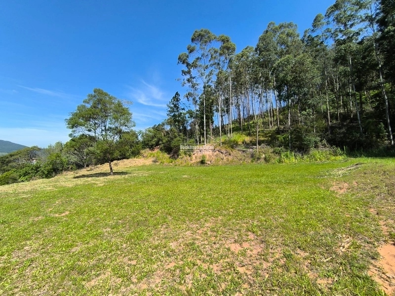 ROLANTE - TERRENOS 300 M2 - BAIRRO RIO BRANCO: 4ª foto da galeria de imagens do imóvel