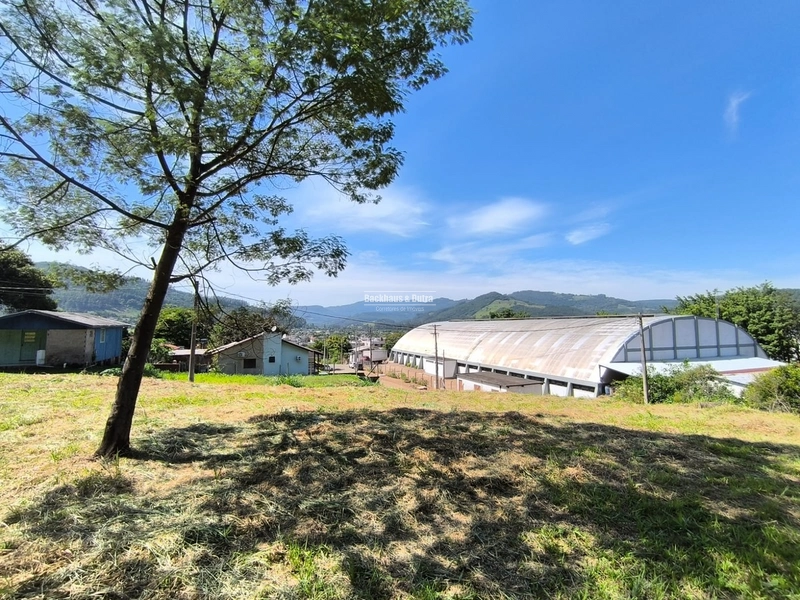 ROLANTE - TERRENOS 300 M2 - BAIRRO RIO BRANCO: 7ª foto da galeria de imagens do imóvel