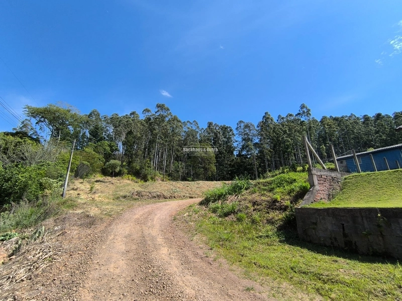 ROLANTE - TERRENOS 300 M2 - BAIRRO RIO BRANCO: 5ª foto da galeria de imagens do imóvel