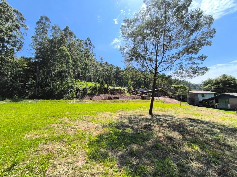 ROLANTE - TERRENOS 300 M2 - BAIRRO RIO BRANCO: 6ª foto da galeria de imagens do imóvel