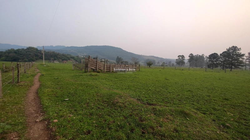 Rolante - 3.5 Hectares - Linha Petry: 14ª foto da galeria de imagens do imóvel