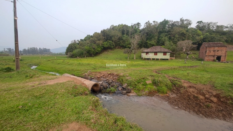 Rolante - 3.5 Hectares - Linha Petry: 7ª foto da galeria de imagens do imóvel