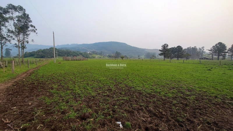 Rolante - 3.5 Hectares - Linha Petry: 16ª foto da galeria de imagens do imóvel