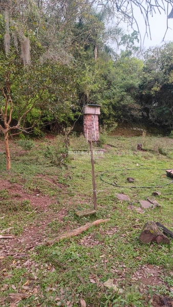 Rolante - 3.5 Hectares - Linha Petry: 2ª foto da galeria de imagens do imóvel
