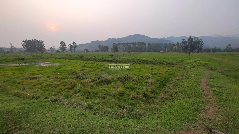 Rolante - 3.5 Hectares - Linha Petry: 6ª foto da galeria de imagens do imóvel