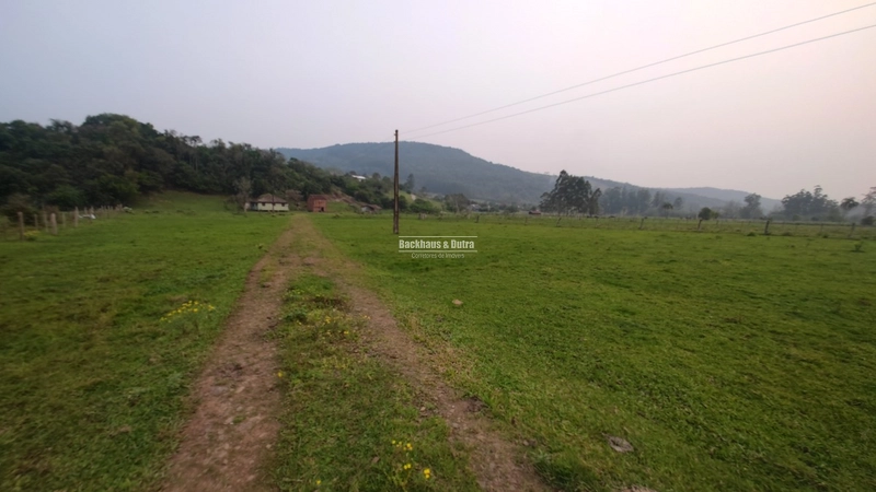 Rolante - 3.5 Hectares - Linha Petry: 11ª foto da galeria de imagens do imóvel