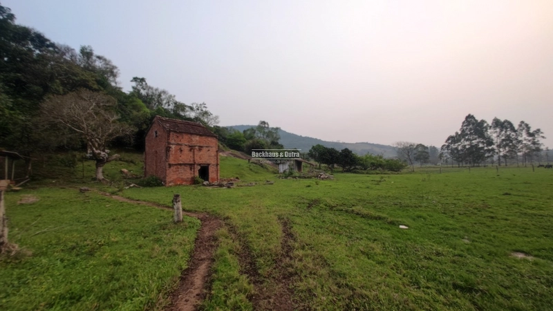Rolante - 3.5 Hectares - Linha Petry: 3ª foto da galeria de imagens do imóvel