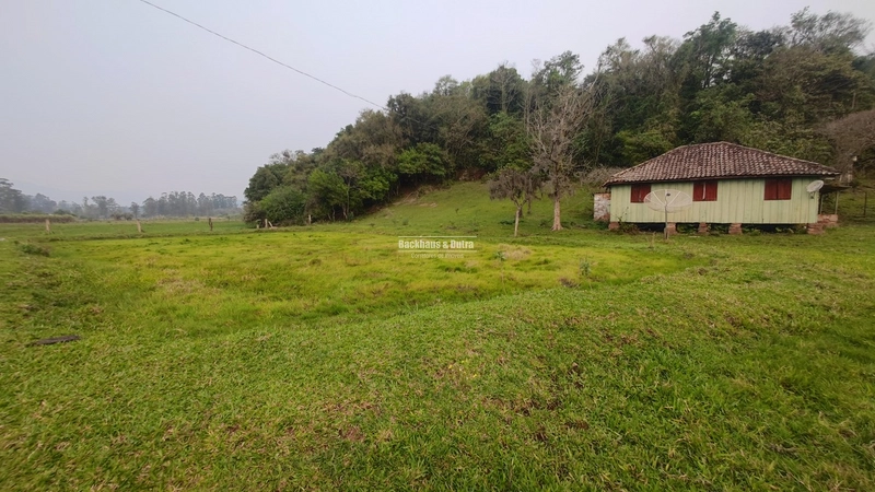 Rolante - 3.5 Hectares - Linha Petry: 5ª foto da galeria de imagens do imóvel