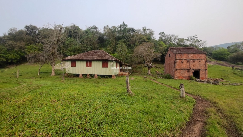 Rolante - 3.5 Hectares - Linha Petry: 4ª foto da galeria de imagens do imóvel