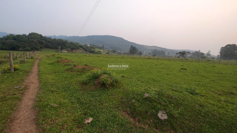 Rolante - 3.5 Hectares - Linha Petry: 12ª foto da galeria de imagens do imóvel
