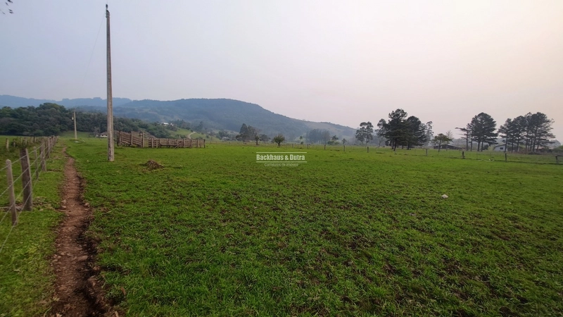 Rolante - 3.5 Hectares - Linha Petry: 15ª foto da galeria de imagens do imóvel