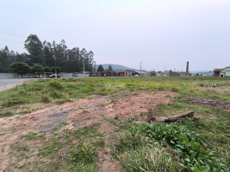 ROLANTE- TERRENO 527 M² AS MARGENS RS 239 - RIO BRANCO: 1ª foto da galeria de imagens do imóvel