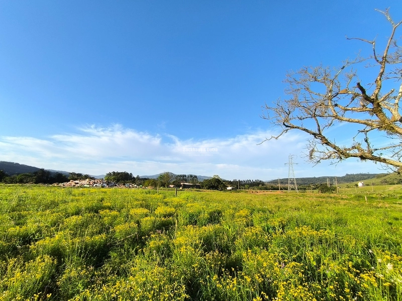 ROLANTE - TERRENO DE 1.000 M2 - ROLANTINHO: 1ª foto da galeria de imagens do imóvel