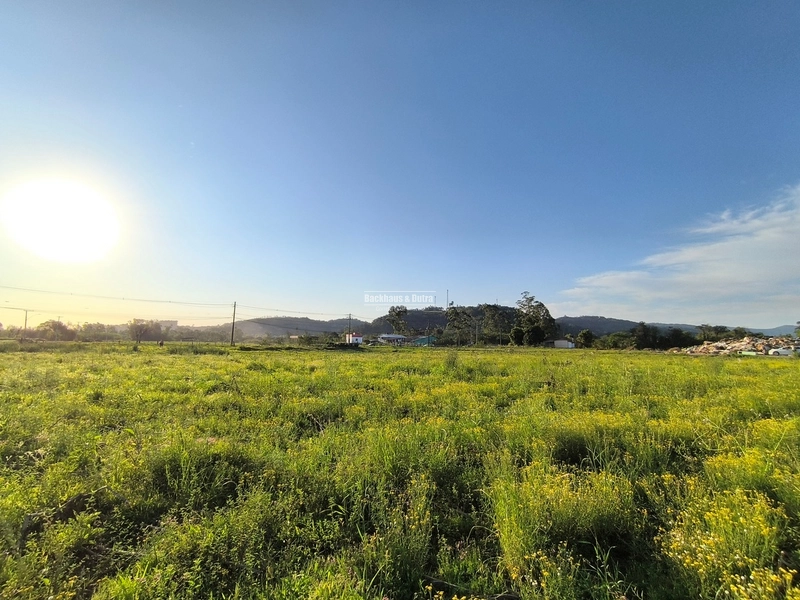 ROLANTE - TERRENO DE 1.000 M2 - ROLANTINHO: 2ª foto da galeria de imagens do imóvel