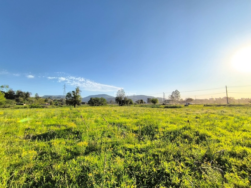 ROLANTE - TERRENO DE 1.000 M2 - ROLANTINHO: 4ª foto da galeria de imagens do imóvel