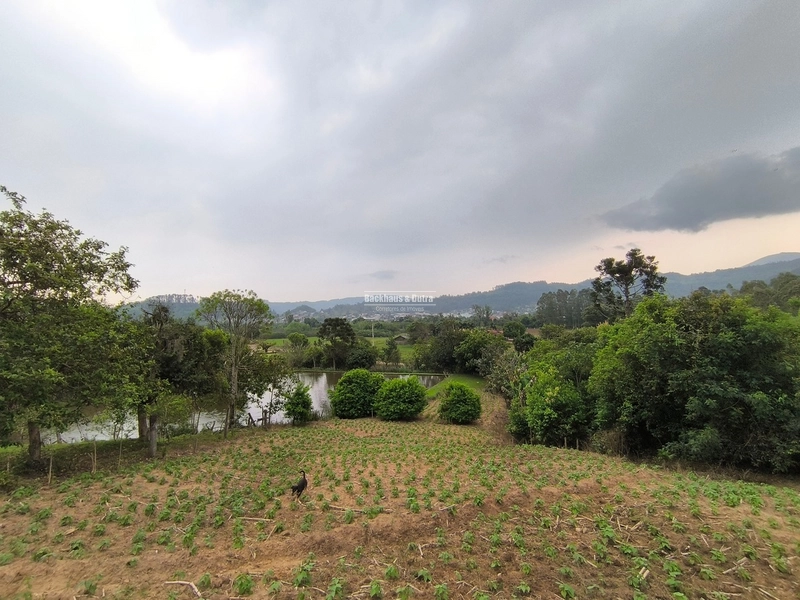 ROLANTE- chácara de 5,5 hectares - Linha Reichert: 4ª foto da galeria de imagens do imóvel