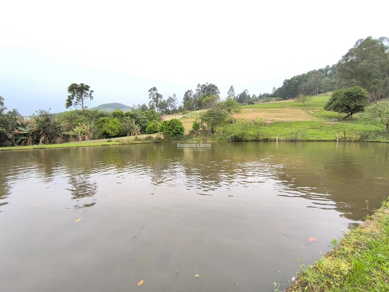 ROLANTE- chácara de 5,5 hectares - Linha Reichert: 5ª foto da galeria de imagens do imóvel