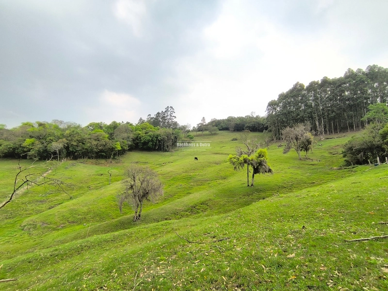 ROLANTE- chácara de 5,5 hectares - Linha Reichert: 2ª foto da galeria de imagens do imóvel
