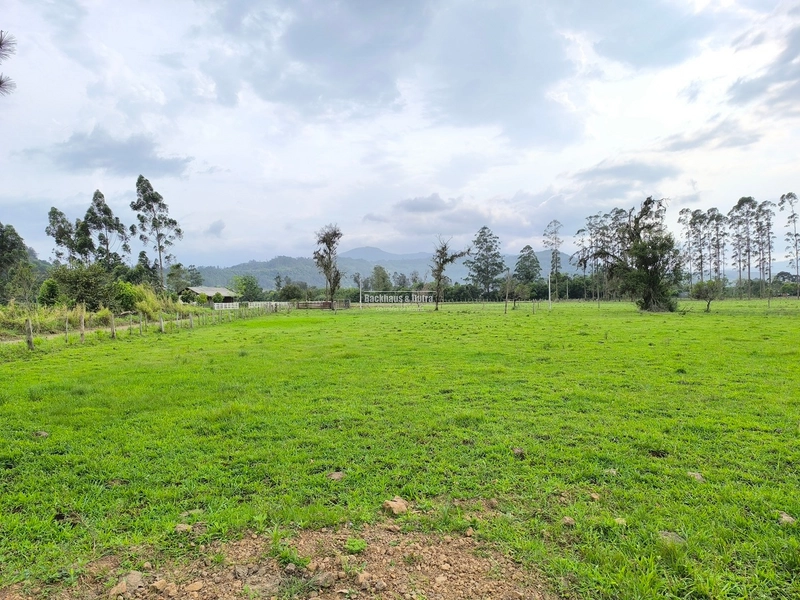ROLANTE- 24 HECTARES DE PORTEIRA FECHADA - LINHA REICHERT: 1ª foto da galeria de imagens do imóvel