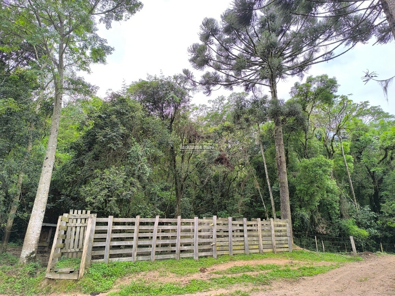 ROLANTE- 24 HECTARES DE PORTEIRA FECHADA - LINHA REICHERT: 11ª foto da galeria de imagens do imóvel