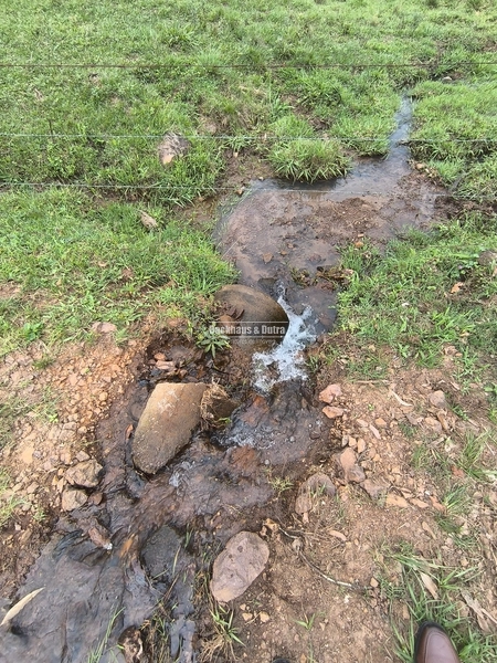 ROLANTE- 24 HECTARES DE PORTEIRA FECHADA - LINHA REICHERT: 7ª foto da galeria de imagens do imóvel