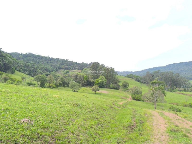 ROLANTE- 24 HECTARES DE PORTEIRA FECHADA - LINHA REICHERT: 5ª foto da galeria de imagens do imóvel