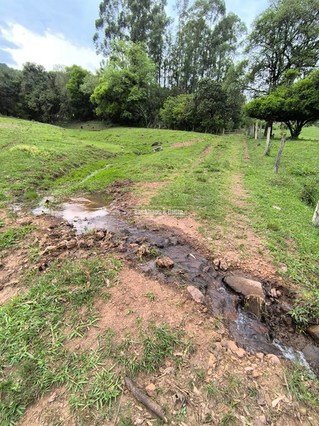 ROLANTE- 24 HECTARES DE PORTEIRA FECHADA - LINHA REICHERT: 6ª foto da galeria de imagens do imóvel