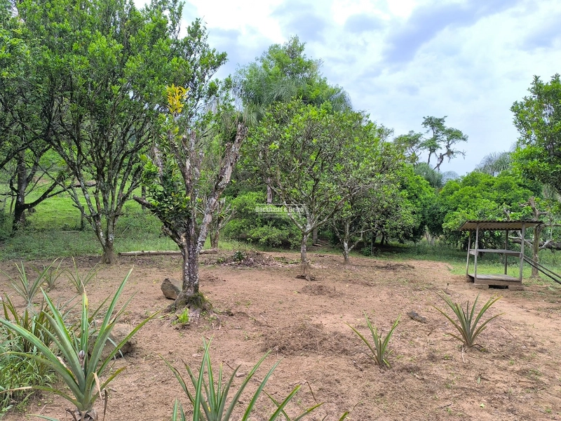 ROLANTE- 24 HECTARES DE PORTEIRA FECHADA - LINHA REICHERT: 12ª foto da galeria de imagens do imóvel