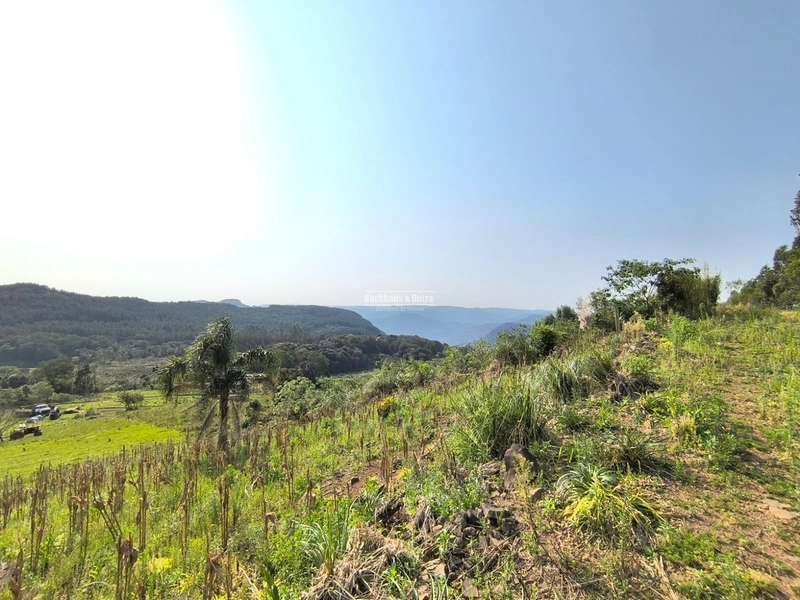 RIOZINHO - LOTES DE 675 M² NA SERRA - KM 50: 1ª foto da galeria de imagens do imóvel