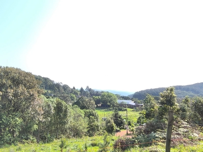 RIOZINHO - LOTES DE 675 M² NA SERRA - KM 50: 5ª foto da galeria de imagens do imóvel