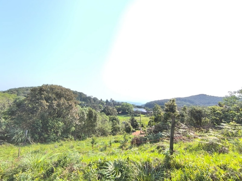 RIOZINHO - LOTES DE 675 M² NA SERRA - KM 50: 2ª foto da galeria de imagens do imóvel