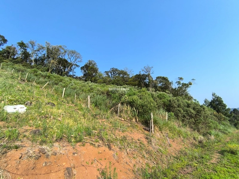 RIOZINHO - LOTES DE 675 M² NA SERRA - KM 50: 3ª foto da galeria de imagens do imóvel