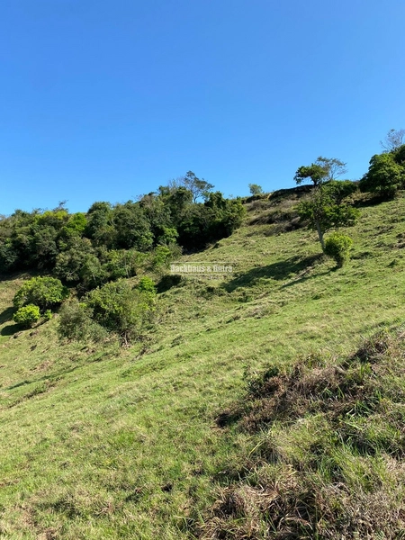 Santo Antônio da Patrulha- 33 hectares- 1 km do asfalto: 24ª foto da galeria de imagens do imóvel