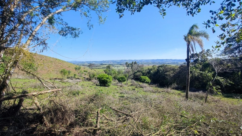 Santo Antônio da Patrulha- 33 hectares- 1 km do asfalto: 12ª foto da galeria de imagens do imóvel