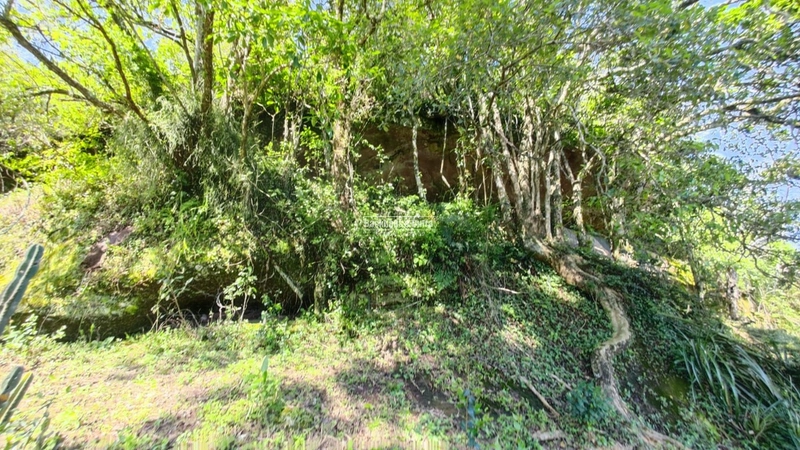 Santo Antônio da Patrulha- 33 hectares- 1 km do asfalto: 10ª foto da galeria de imagens do imóvel