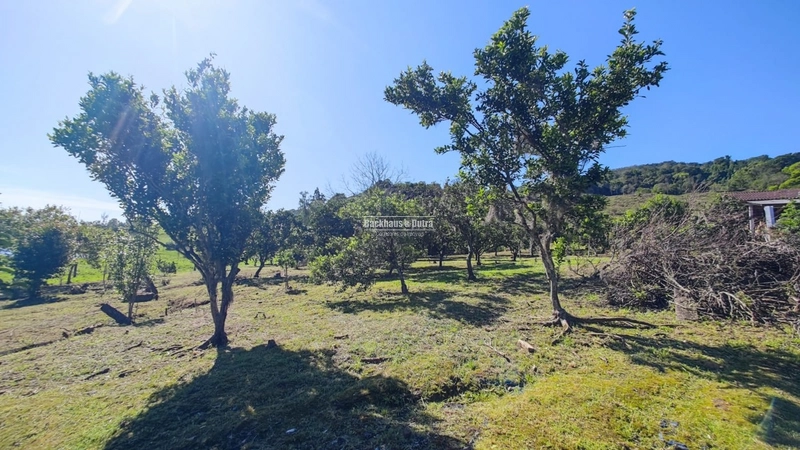Santo Antônio da Patrulha- 33 hectares- 1 km do asfalto: 3ª foto da galeria de imagens do imóvel