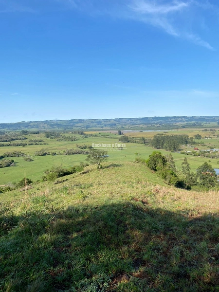 Santo Antônio da Patrulha- 33 hectares- 1 km do asfalto: 25ª foto da galeria de imagens do imóvel