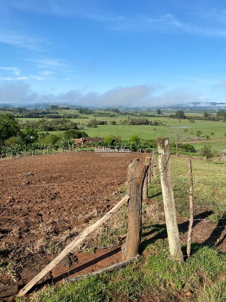 Santo Antônio da Patrulha- 33 hectares- 1 km do asfalto: 26ª foto da galeria de imagens do imóvel
