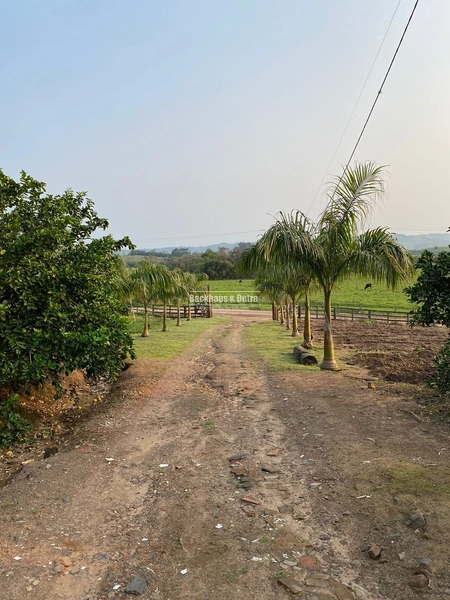Santo Antônio da Patrulha- 33 hectares- 1 km do asfalto: 13ª foto da galeria de imagens do imóvel