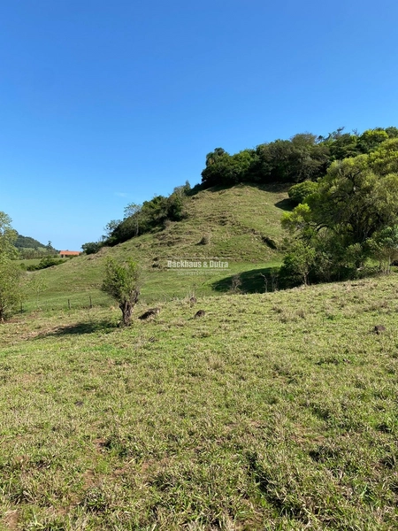 Santo Antônio da Patrulha- 33 hectares- 1 km do asfalto: 21ª foto da galeria de imagens do imóvel